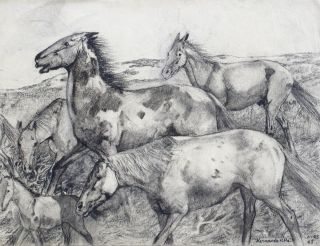 Hernando Villa California Artist Study of Horses