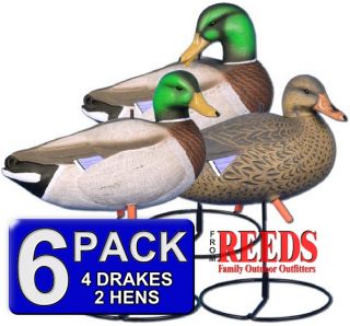 Higdon Magnum Full Body Mallard Duck Decoy Uprights 6 Pack 12028