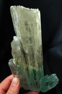 Bi Color Spodumene Crystal V Hiddenite Triphane Laghman