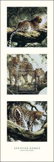 Spencer Hodge Light and Shade I Leopards Trees Print