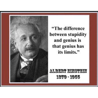 Albert Einstein The Difference Between Stupidity