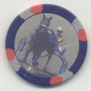 Storm Damage Harness Horse Racing Collector Chip