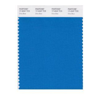 PANTONE SMART 17 4247X Color Swatch Card, Diva Blue   