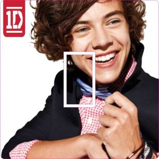 Bedroom on Harry Styles One Direction Bedroom Light Switch Cover Sticker