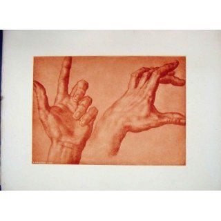 Bandinelli C1875 Grand Masters Etching Hands Fingers Home