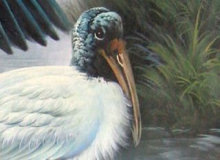Wild Heron in Lake Genuine Oil Painting on Canvas 24x36