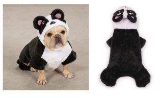 Panda Pup Costumes   Halloween Costumes for Dogs
