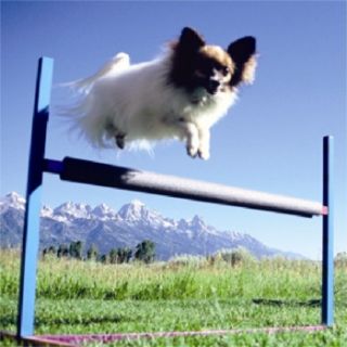 Dog Agility Aluminum Single Jump Hurdle