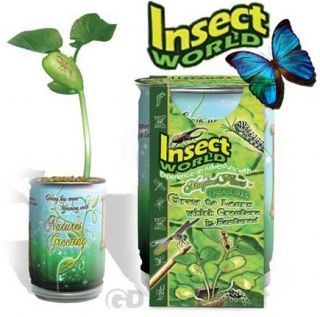 Magic Plant Insect World Bean Seed Plant Message Word Nature Grow
