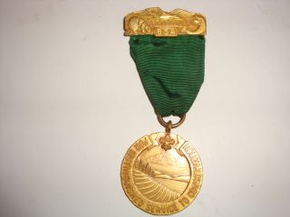  Vintage Boy Scouts William T. Hornaday Gold Medal Grn Ribbon No Legend
