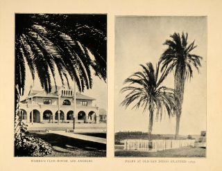  Club House Los Angeles Palm Trees San Diego ORIGINAL HISTORIC IMAGE