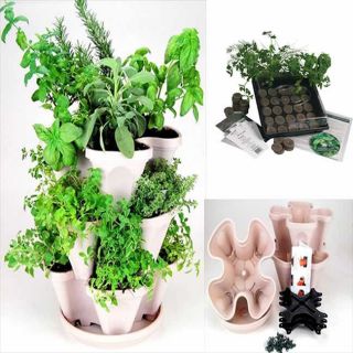 Culinary Herb Garden Starter Kit/ Mini Garden Stacker Planter