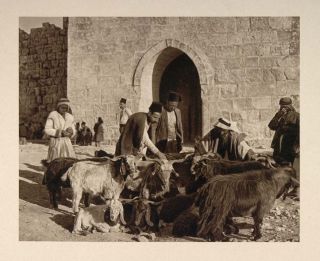 1926 People Sheep Market Herods Gate Jerusalem Israel   ORIGINAL