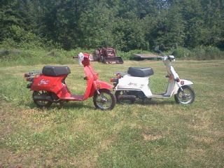Honda Spree Scooters for Parts or for Fixing Both Run