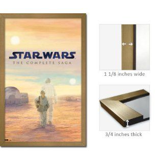 Gold Framed Star Wars Poster Blu Ray Box Cover 1447: Home