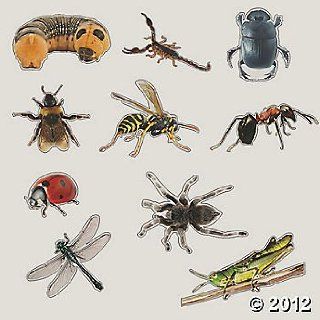 ~ 10 Piece ~ Realistic Insect Bulletin Board Cutouts