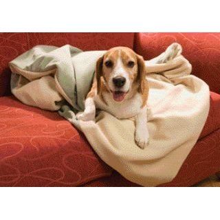 PetSafe Heated Pet Blanket : Size DOG BLANKET: Kitchen