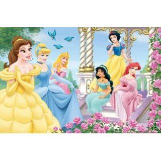 Disney   Princess Garden Poster   Rare New Gathering Home