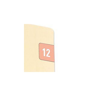SMEAD Year 2012 End Tab Folder Labels, 1/2 x 1, Pink/White