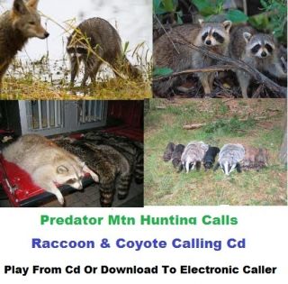 Raccoon Predator Hunting Calls on CD Gets The Raccoons