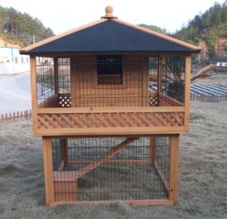  RH8 Rabbit and Guinea Pig Hutches Backyard Poultry Hen House
