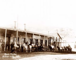 1880s Silver City Idaho Store Gold Silver Mine Miner Mining
