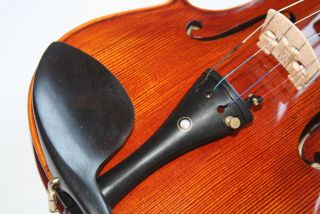 Nice Violin Strad Copy Nice Tone BT198 Varnish Cheap Price