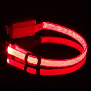  LED Licht Hundehalsband (25   35cm), alle Artikel Versandkostenfrei