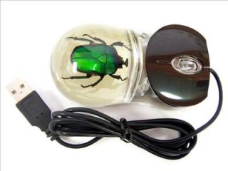 Optical Electronic Computer Mouse ( Glow in the dark )   Black Case