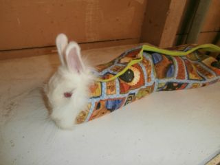 Rabbit Tattoo Wrap Exhibitor Breeder 4H Small Animal