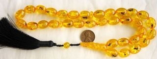   Amber Color Resin with one or more insects in each and very bead