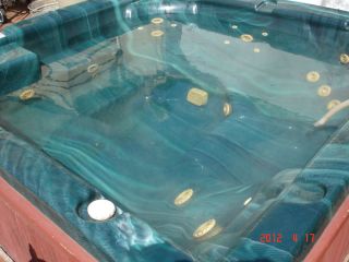 HOT TUB SPA JACUZZI WHIRLPOOL JET DUAL FILTER & PUMPS GAS HEATER 4 6