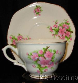 James Kent Apple Blossom Teacup and Saucer Minor Crazing