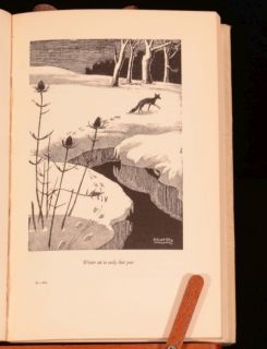 1939 Wild Lone Story of A Pytchley Fox B B Illustrated