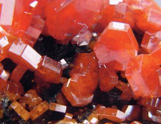 Killer Fire Red Vanadinite Crystal Group