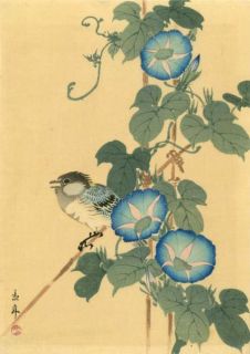 imao keinen baby blue jay and blue morning glories date c 1930s