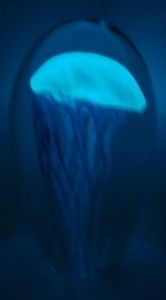  Hand Blown Glow in The Dark Glass Blue Jellyfish Paperweight