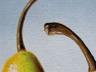 Pears on Wood Block Food Fruits Original Oil Still Life 4x4 by JP