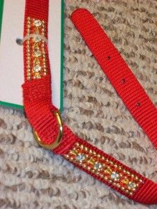 Red Aspen Pet Dog Fashion Collar Jewels Bling 18 20