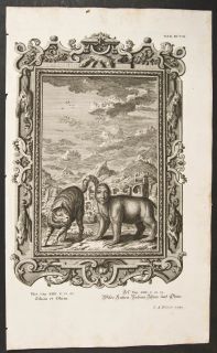 Scheuchzer Animal Monstrosities 607 1731 Physica Sacra Folio Engraving