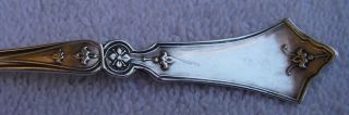 Clematis Pattern Coin Silver Mustard Ladle John Cook Patent NR