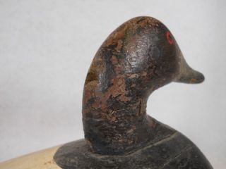 Vintage Working Upper Chesapeake Bay MD Canvasback Drake Duck Decoy John Graham  