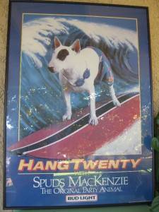 Classic Hang Twenty Spuds MacKenzie Bud Light Framed Poster  