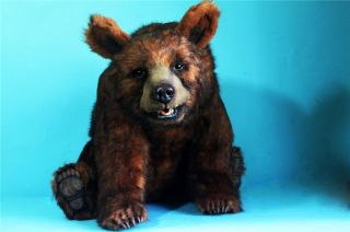 O O A K Realistic Cinnamon Bear with Open Close Mouth by Pawtrait Bears  