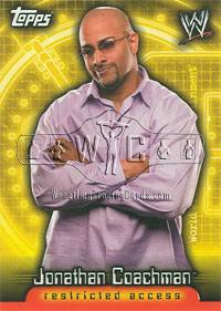 2006 WWE Diva Subset of 11 Cards Topps Insider Series  