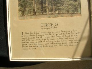 Antique Joyce Kilmer Trees Poem with Hand Tinted Photo Large 14 x 23  