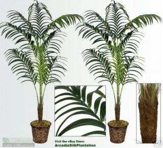 Two 8 Artificial Kentia Palm Trees Tropical Silk Plant