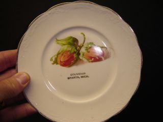 Mich Michigan Souvenir Plate by Kent City Ravenna Cedar Springs