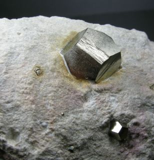 Pirita matriz 9x6 cm Pyrite Matrix Ambasaguas La Rioja Spain Minerales