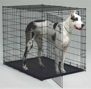 Midwest 54 inch Dog Crate with Pan Big Dog Crate 1154U